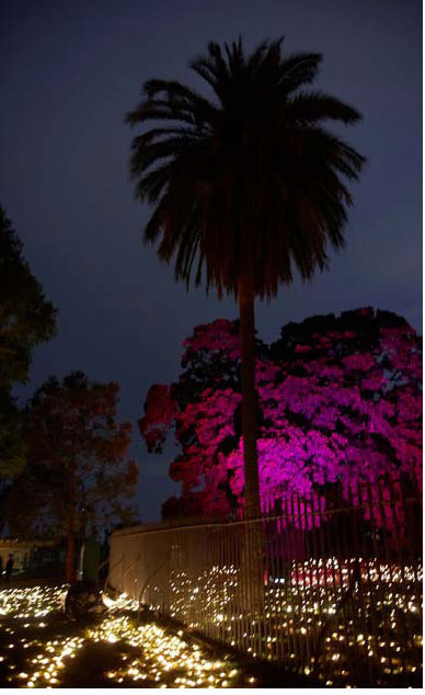 EVENTS. These images are a sampler of the wide variety of events that I have been the creative director on.