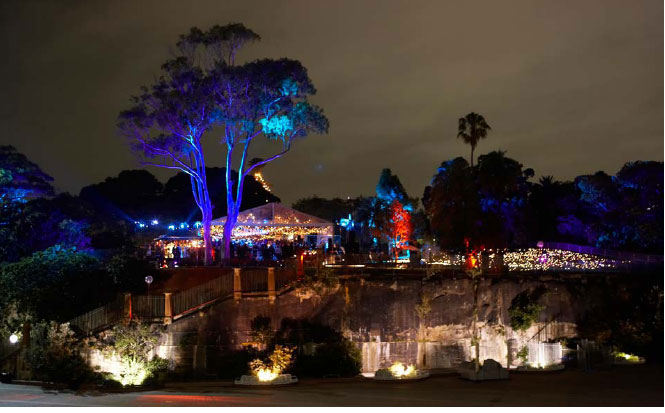 EVENTS. These images are a sampler of the wide variety of events that I have been the creative director on.